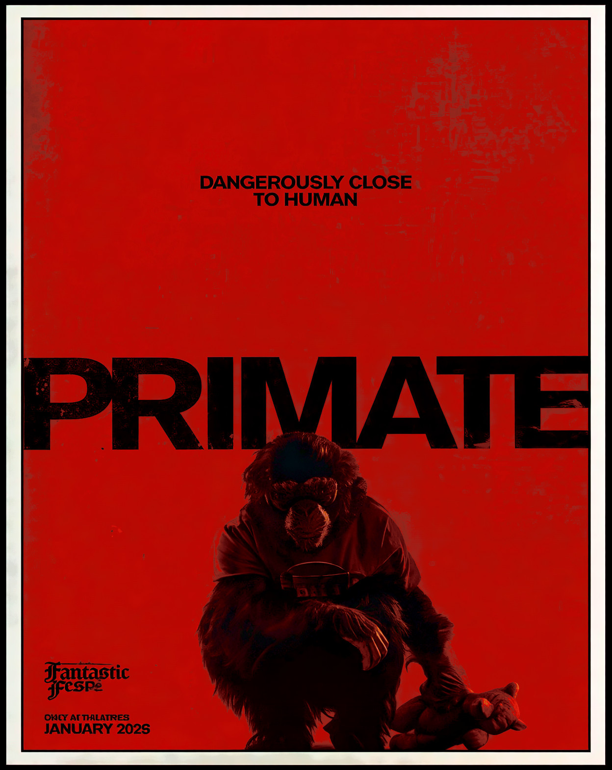 Primate